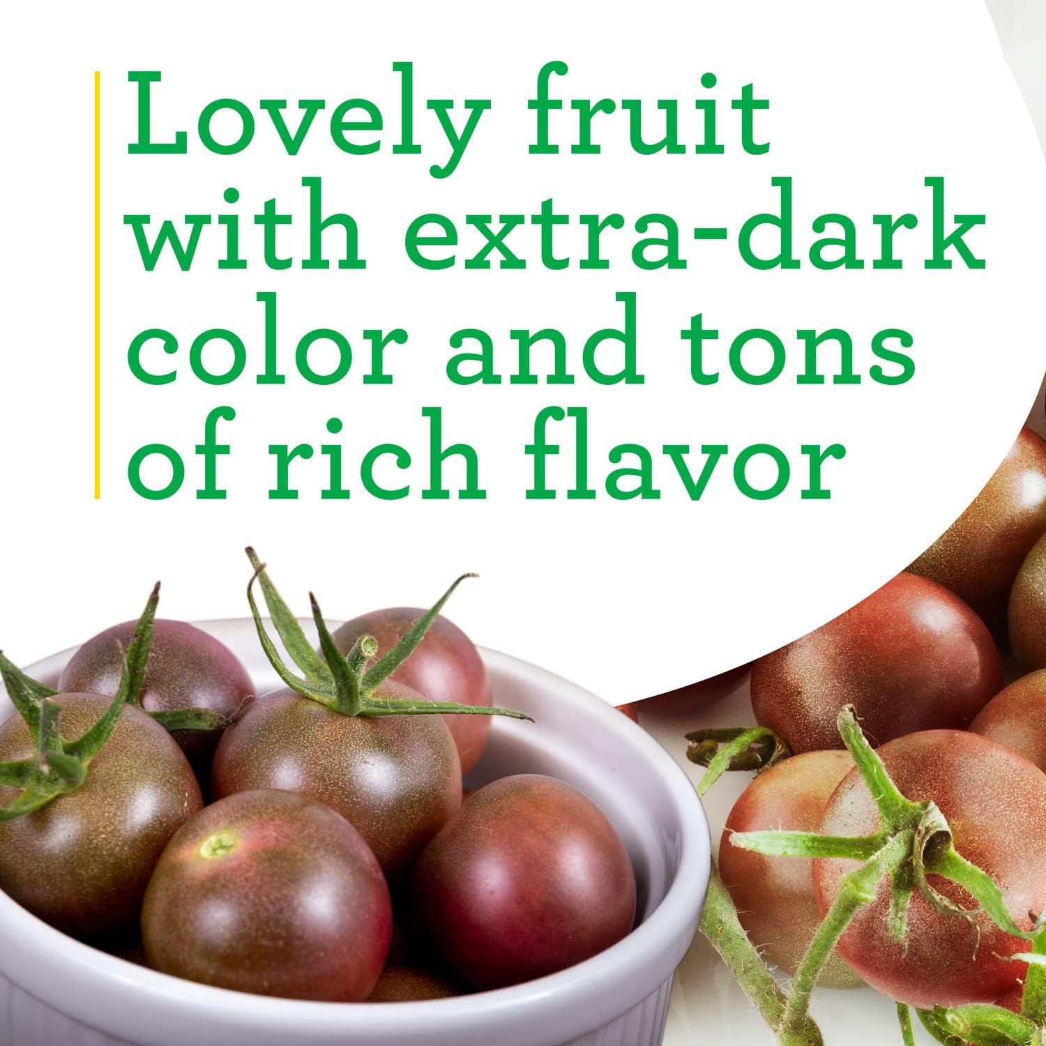 Bonnie Plants Black Cherry Tomato, 19.3 oz., 4-Pack, Live Plants
