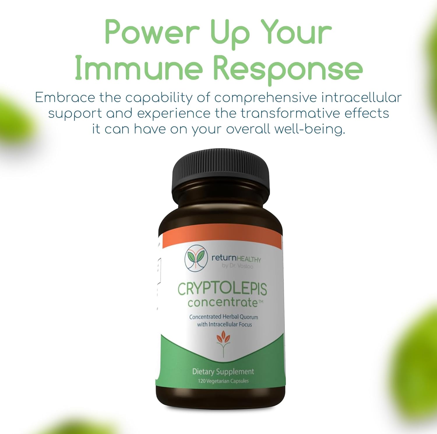 Cryptolepis Concentrate, Immune Support with Cryptolepis Sanguinolenta for Immunity Boost, Concentrated Herbal Supplements, Antioxidant & Health Supplement, 120 Capsules - Image 7