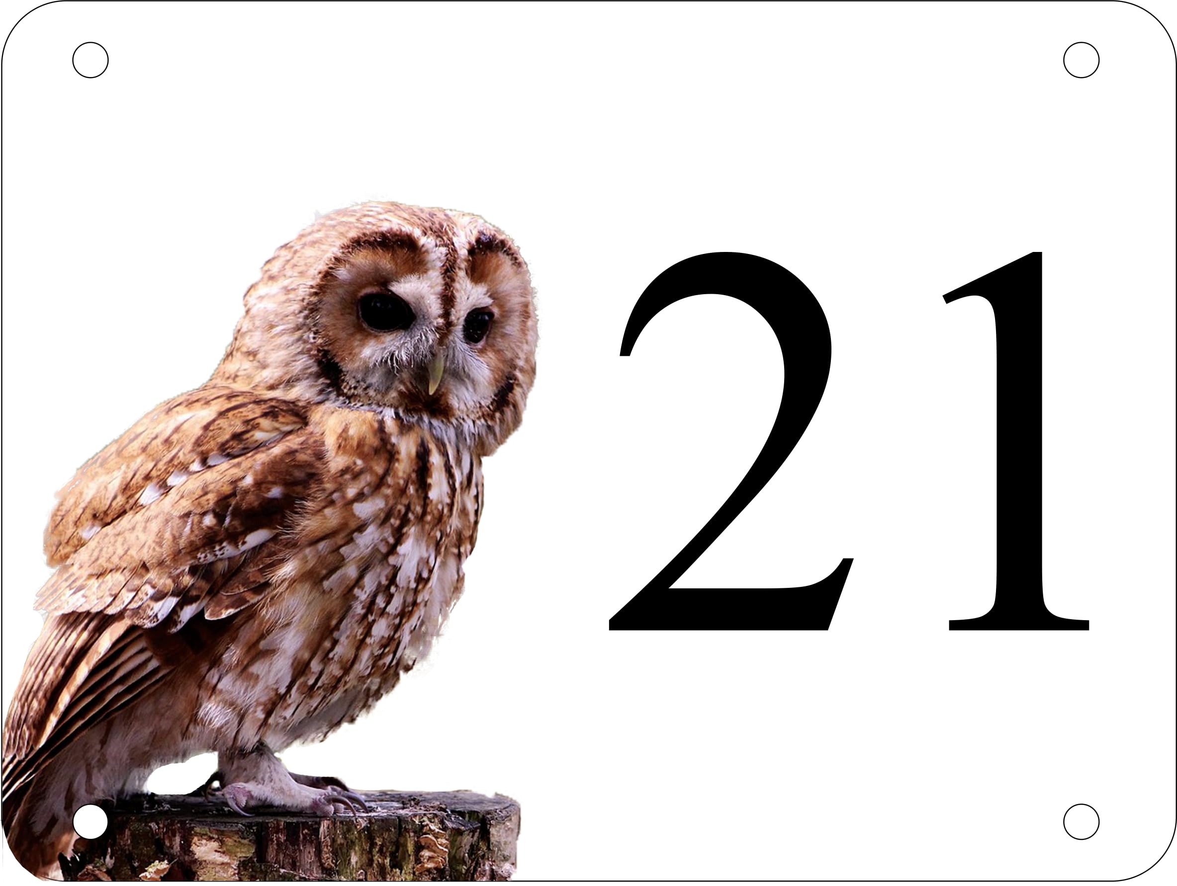 1stclassgifts Personalised Aluminum Owl House Number Sign Door Plate White (UV Printed) (Small 150mm x 100mm)