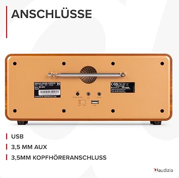 Audizio Genoa DAB Radio with Bluetooth Stereo DAB Plus Radio with Remote Control 60 Memory Slots Auto Scan Line-Out USB Ideal for Home and Travel Easy to Use - Copper