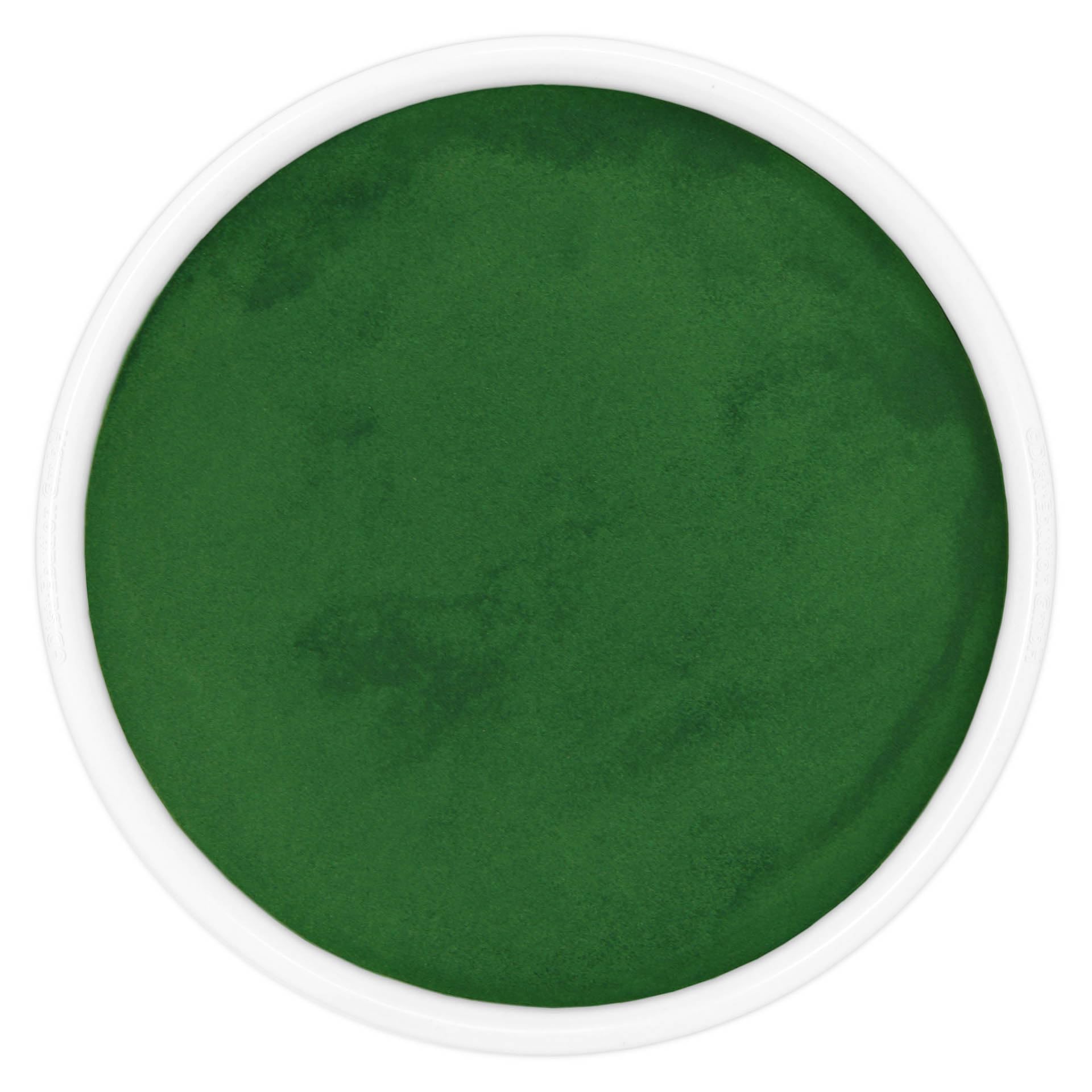 Spirulina Pulver 25kg natürlich rein ohne Zusätze Superfood Algen