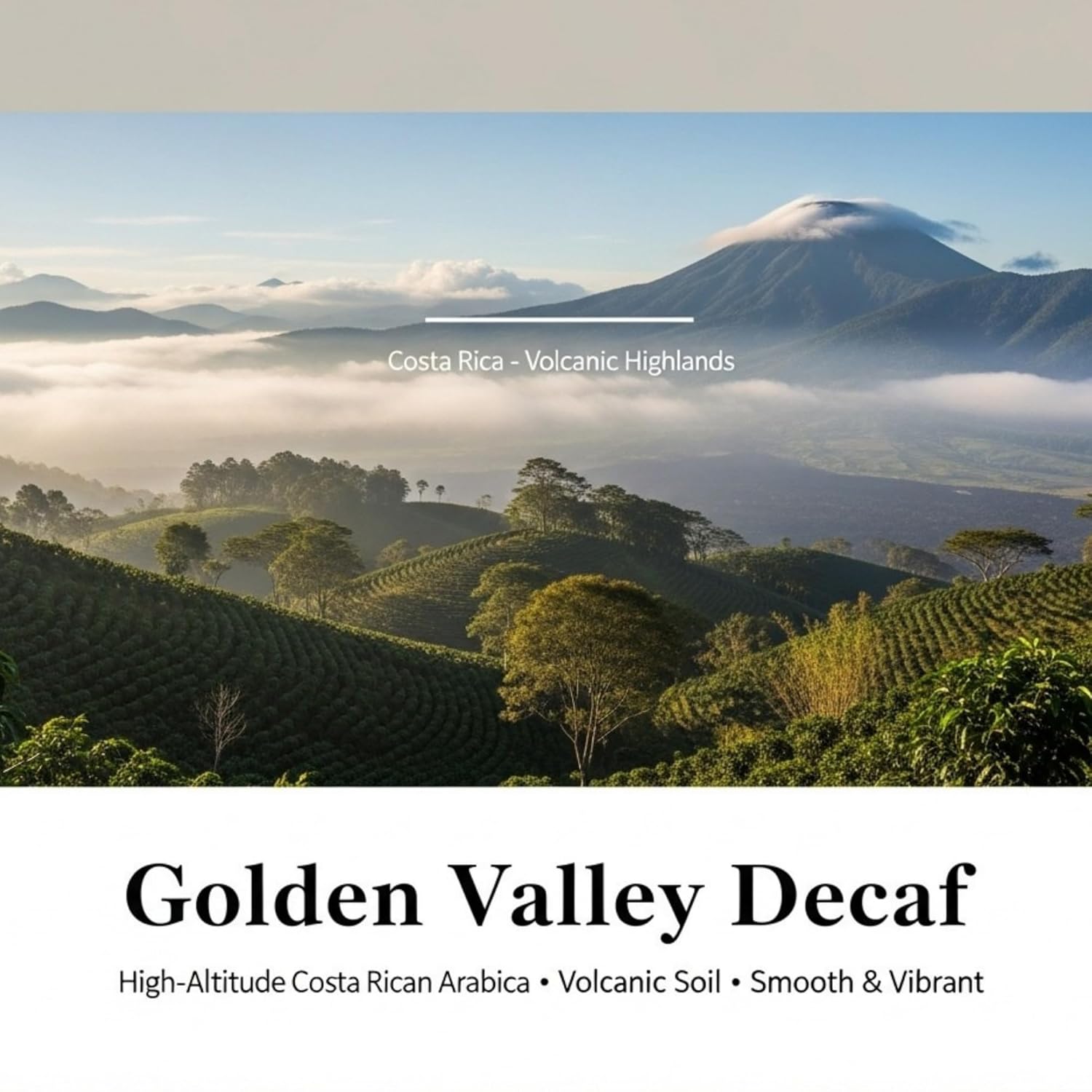 Montuno Coffee Golden Valley Swiss Water Decaf, Costa Rica Tarrazu, 1 Lb, (Whole Bean)