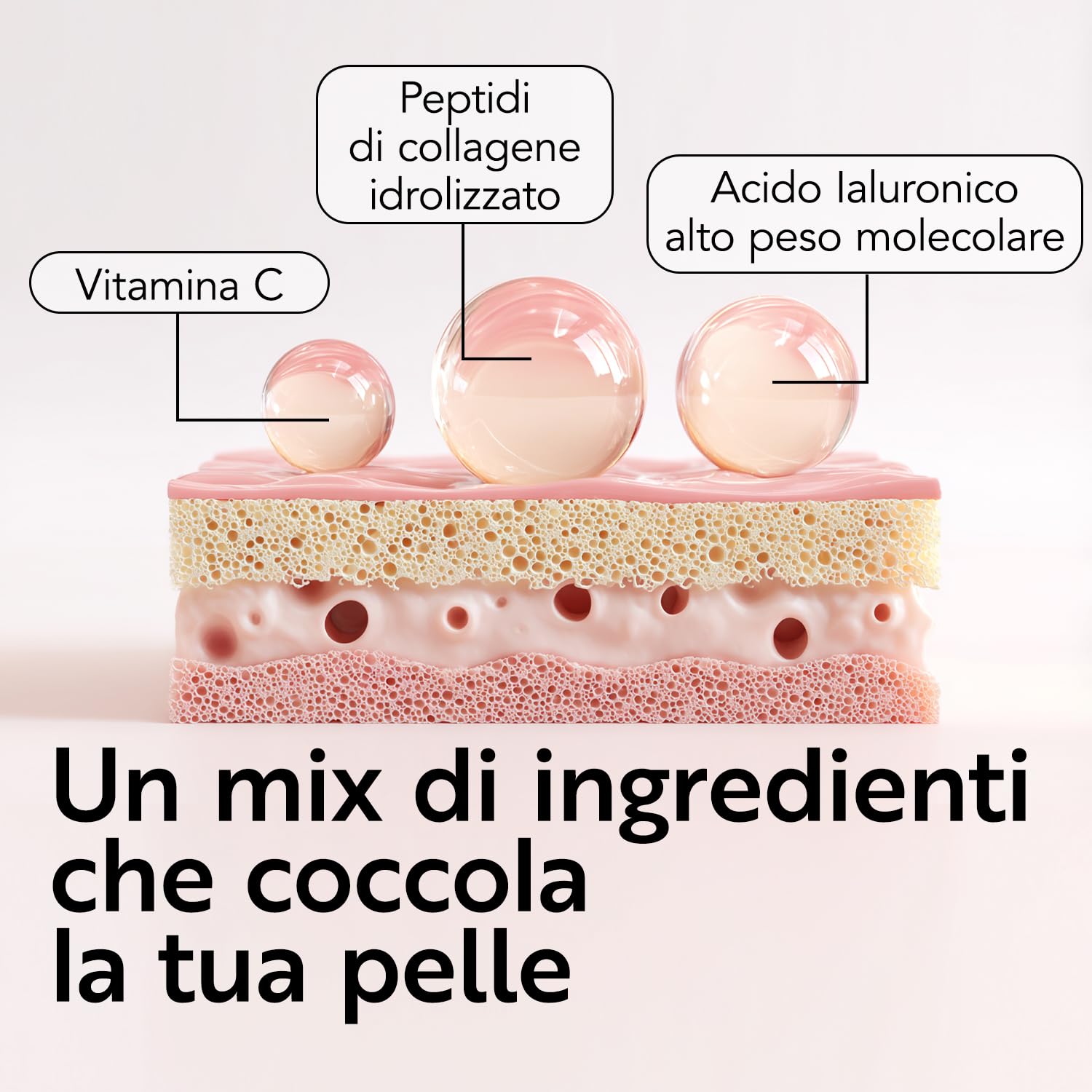 Peptidi di Collagene Idrolizzato in polvere Tipo 1 – 330g con acido ialuronico e vitamina C PiùLife – Integratore collagene bovino puro da bere – Per pelle, capelli, unghie e articolazioni