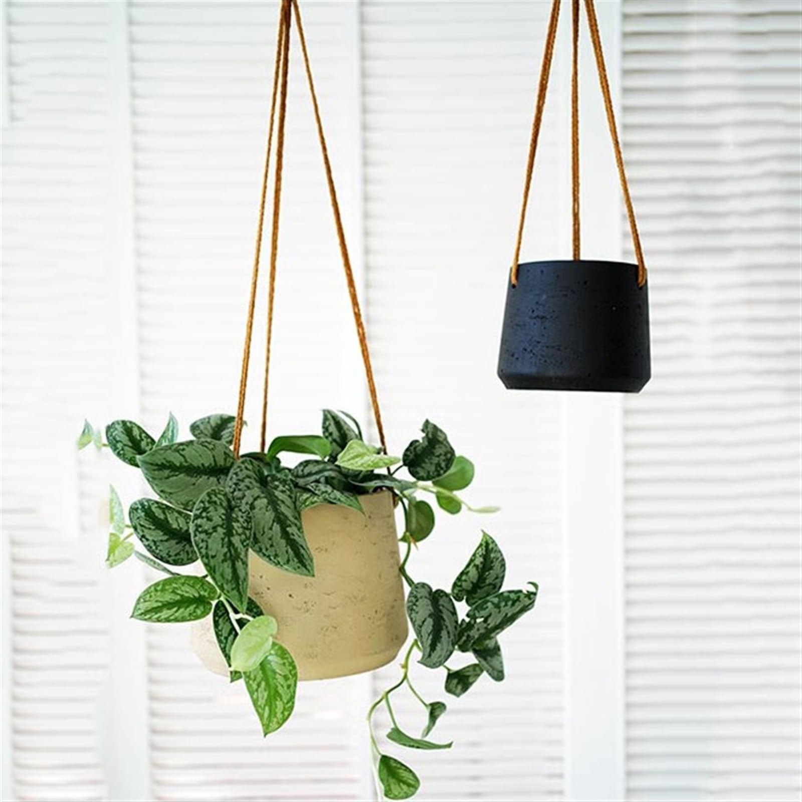 macetas para plantas Fioriera sospesa a parete Piccola pianta Cesto sospeso for balcone Orchidea per Casa Giardino(Nero,Piccolo)