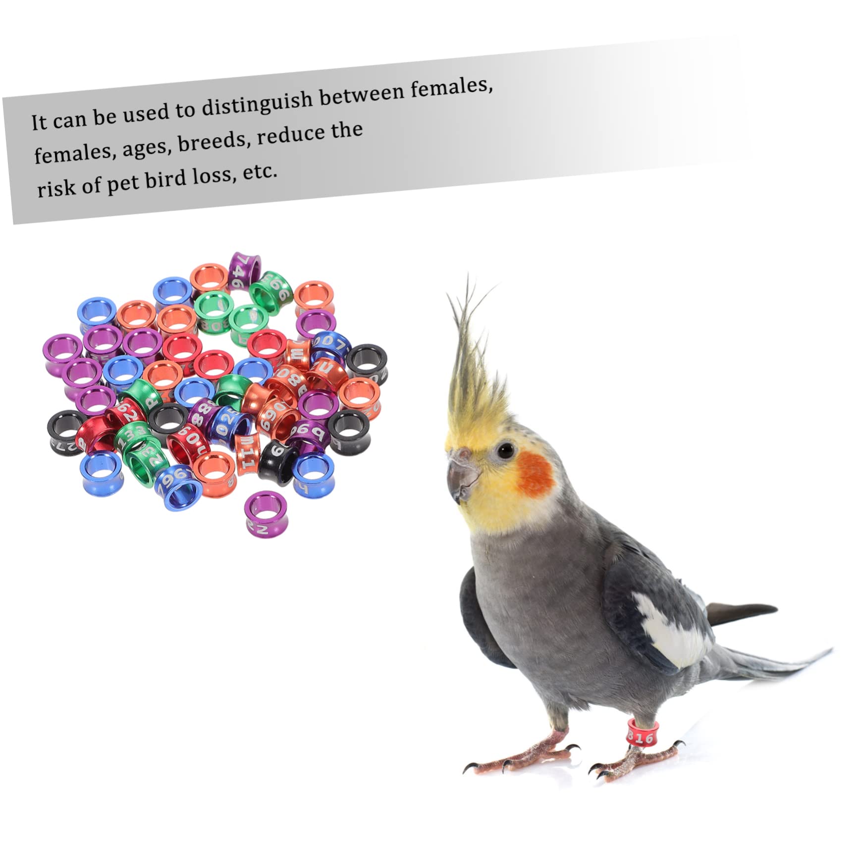 Pierścień do łapek kurczaka, pierścienie identyfikacyjne ptaków, pierścienie do nóg ptaków 50 szt. Drób Gęś na stopy Kaczki Przepiórka Lovebird Gołąb Zięba Game Ptactwo Papuga Gołębie Opaski identyfik