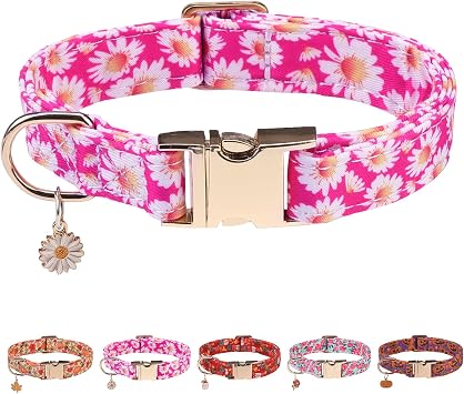 PAWCHIE Dog Collar with Metal Buckle, Cute Flower Dog Collars for Boys Girls Small Medium Large Dogs, Adjustable Durable Comfortable Pet Collars for Male Female Puppies, Ideal Gift, Rose XS