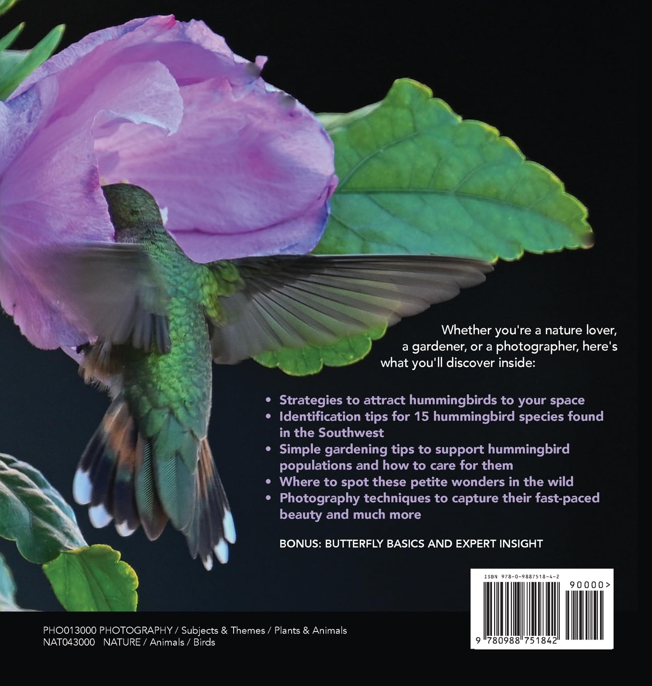 Amazing Hummingbirds You Can Find in Arizona: Strategies for attracting, feeding, and photographing these miniature marvels