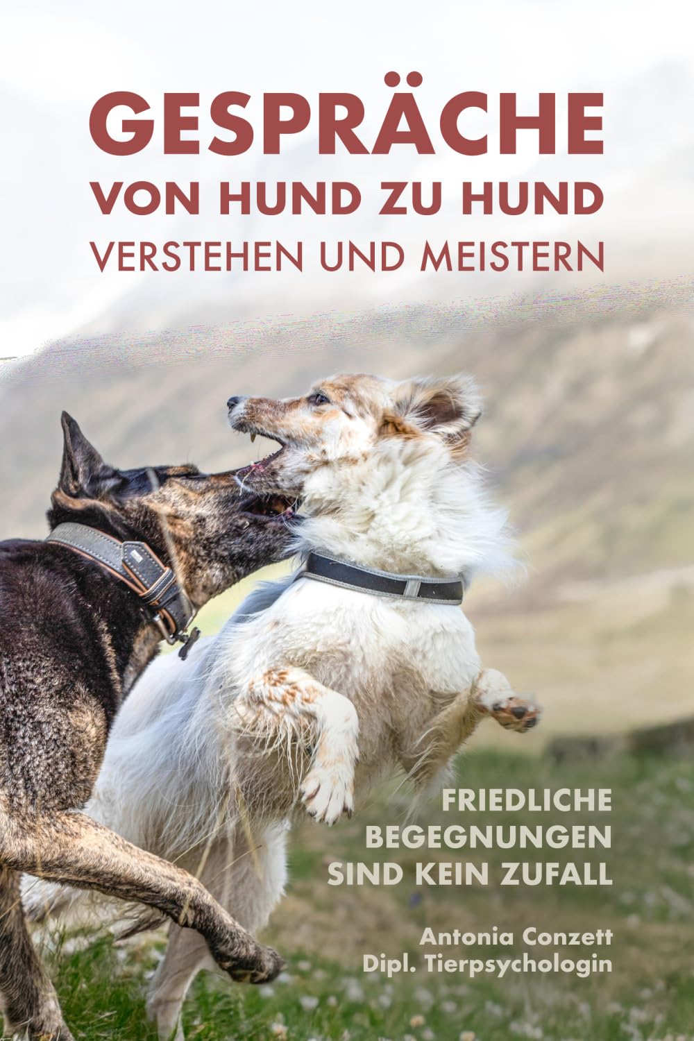 Gespräche von Hund zu Hund verstehen und meistern - Friedliche Begegnungen sind kein Zufall
