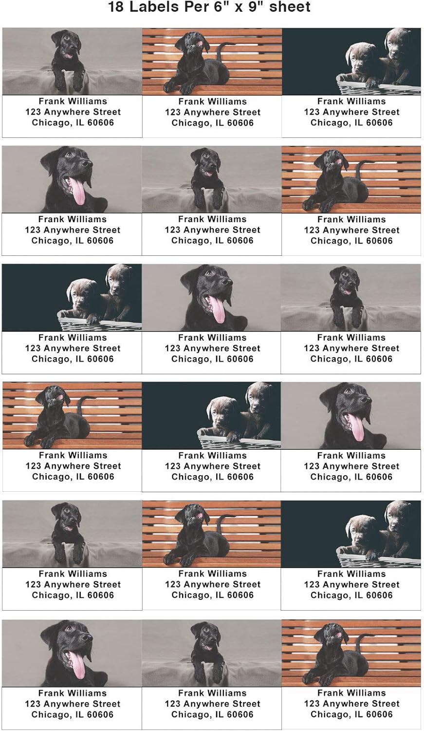 Black Lab Puppies Address Labels