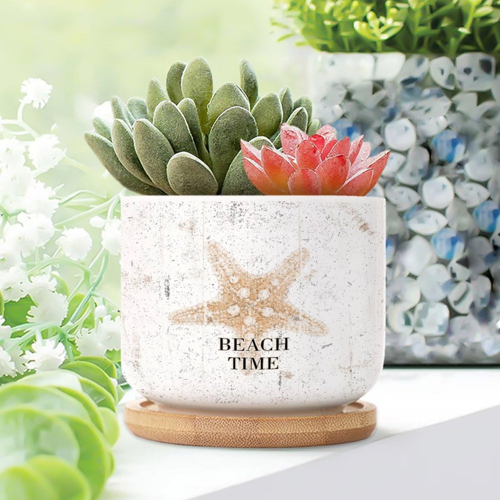 Amazon.com: WoGuangis 2 Piece Ceramic Plant Pot Nautical Coastal Ocean Life  Starfish Small Succulents Plant Pot Antique Decor Beach Time Cactus Planter  for Indoor Ocean Theme Seaside Plant Pot with Drainage :