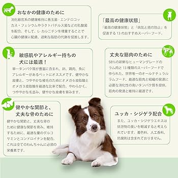 Amazon.co.jp: Planet Pet プラペ ! CP ラム & リンゴ