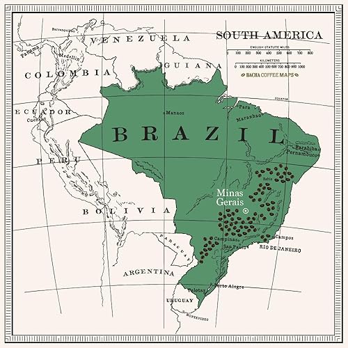 Miniatura 3 de Bacha Coffee  Lagoa Brasil Single Origin, tostado ligero medio, café especial 100% arábica, 12 bolsas de goteo de café, caja de regalo