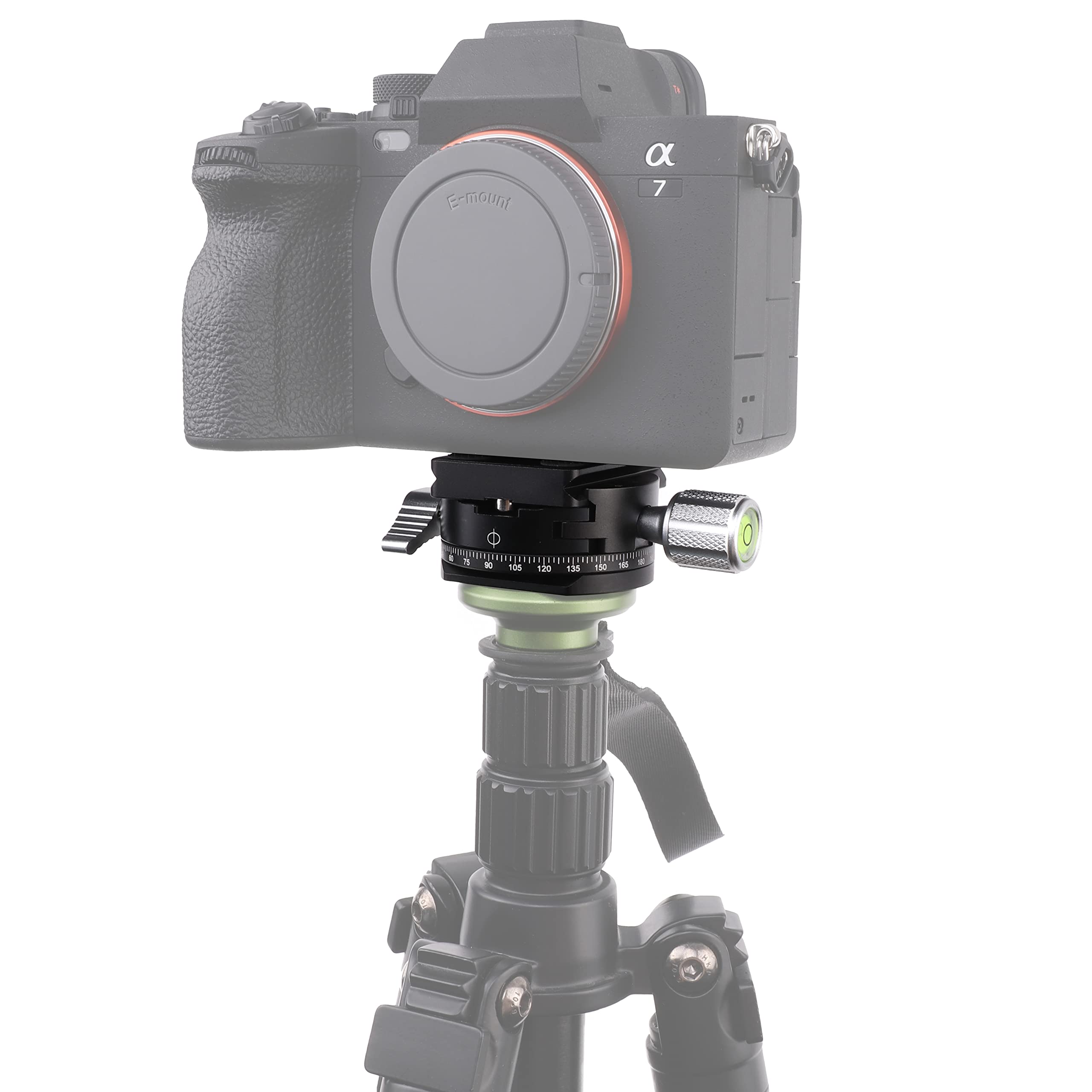 FOTGA Testa panoramica girevole a 360° con morsetto girevole e piastra a sgancio rapido da 50 mm, vite da 1/4 pollici per Arca-Swiss treppiede, monopiede, testa sferica, fotocamera DSLR