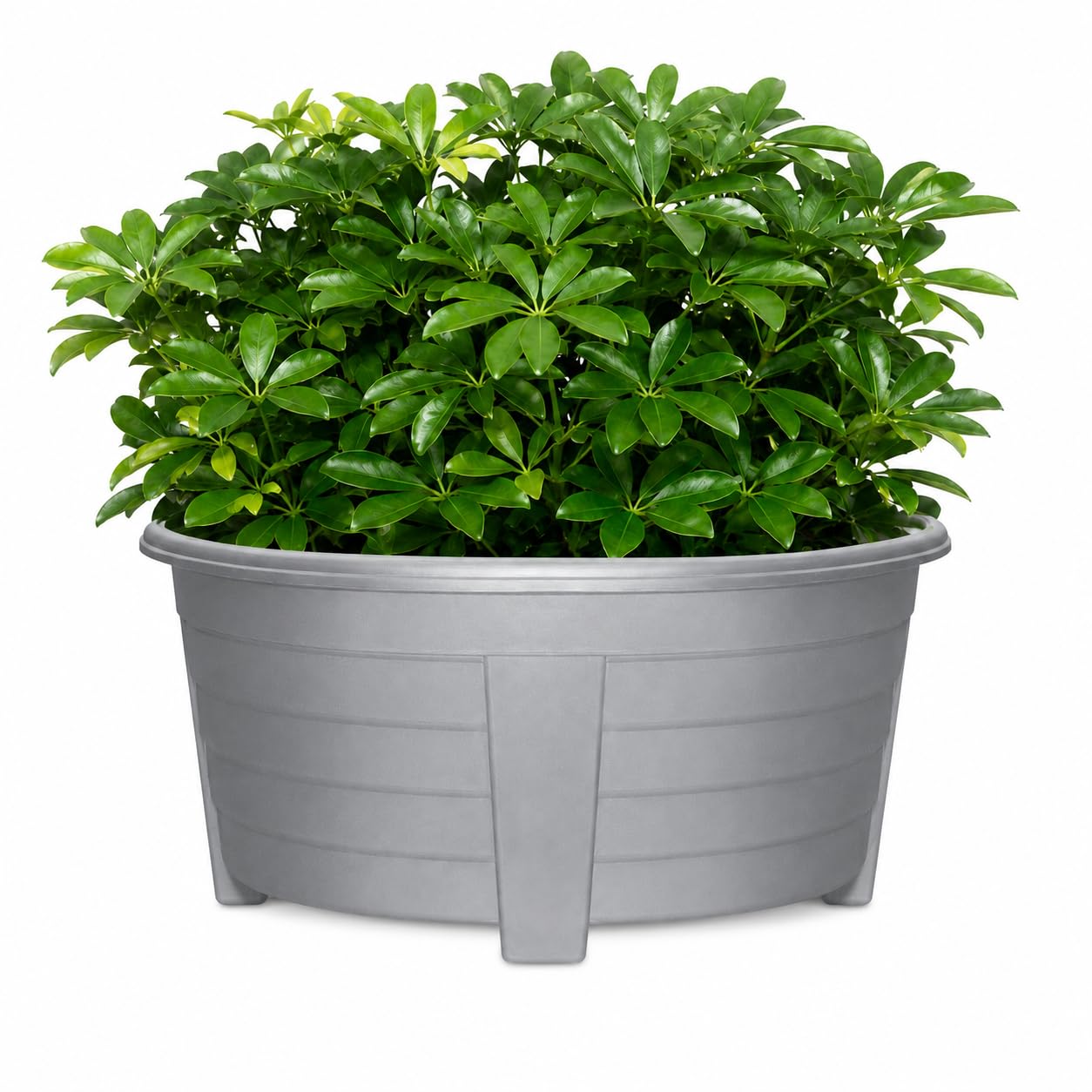 ORYNTO 55CM Large Oval Plant Pots Plant Pots Outdoor Planters Plastic Garden Flower Pot Indoor & Outdoor Raised Trough Planter Window Herb Box with DIY Drainage Holes for Flowers Plants (1, Grey)