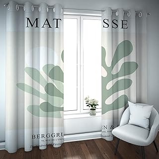 HOBBOY Green Plant Abstract Aesthetic Curtains for Bedroom Living Room Office Hotel Modern Grommet Energy Saving Thermal Insulated Drapes 2X W38xL63in