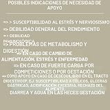 Ver la foto 6