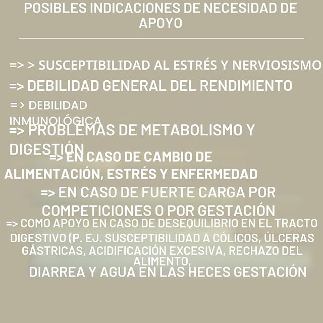 Foto 6 de 8 de Estómago Intestino Booster Caballo - Probióticos