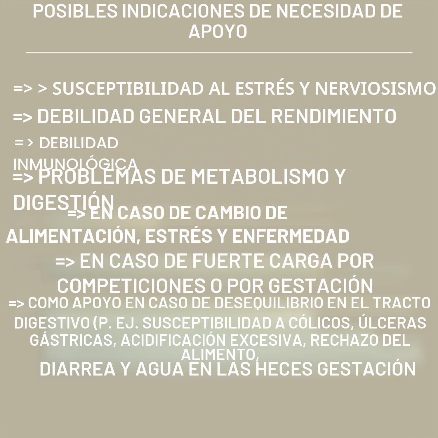 Estómago Intestino Booster Caballo - Probióticos - Levadura de Cerveza I Vitamina E Caballo Cultivos de Levadura Flora Intestinal Tracto Gastrointestinal después de Cólicos Vómitos Agua Diarrea 30ml