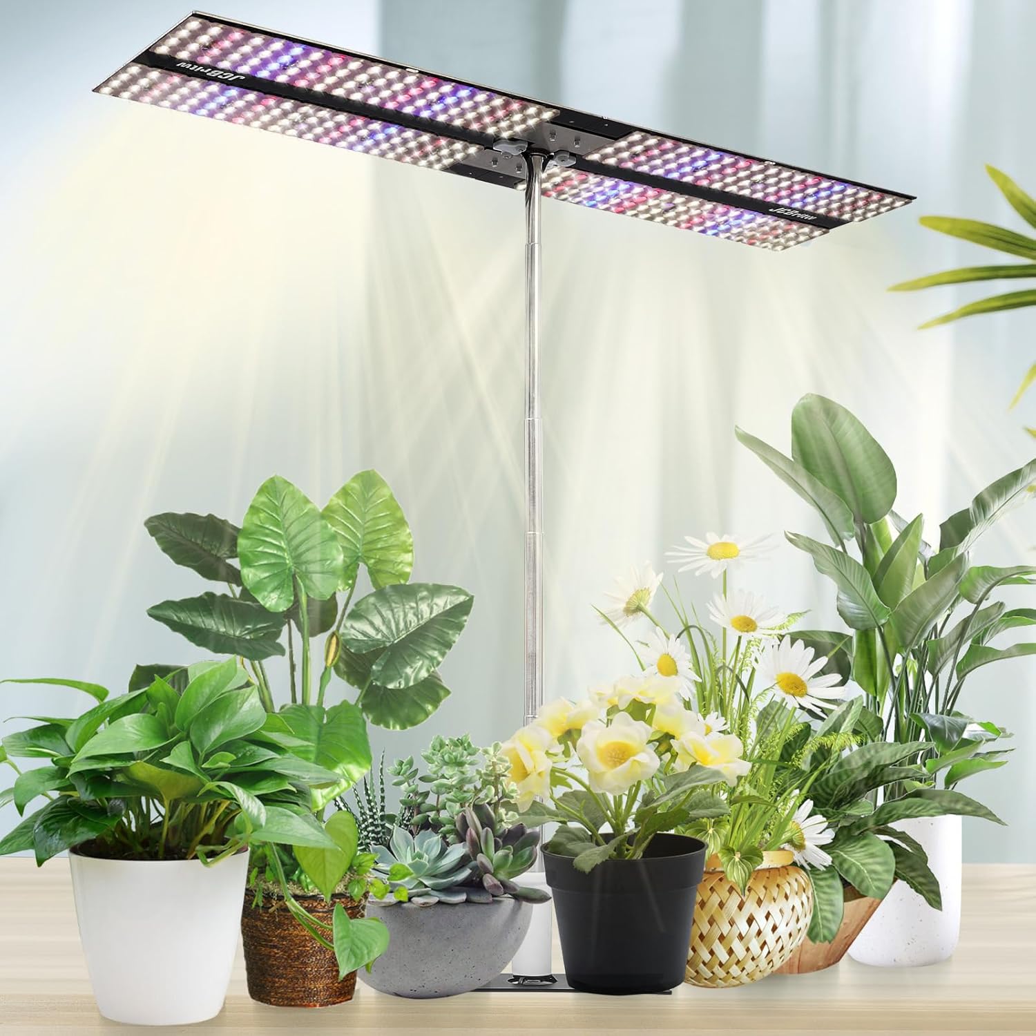 JCBritw 200W LED Grow Light on Stand for Indoor Plants, Desktop Plant Growing Lamp Full Spectrum with UV IR, 90 Degree Lens Tabletop Plant Light for Seed Starting, Seedlings, Veg, Fruits and Flower