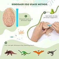 Vista 3 de Huevos fósiles de dinosaurio para excavar, abre 12 huevos fósiles de dinosaurio únicos y descubre 12 simpáticos dinosaurios, divertido juguete
