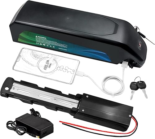 (Batterie de Classe a) 24V 36V 48V 52Vbatterie de vélo électriqu 