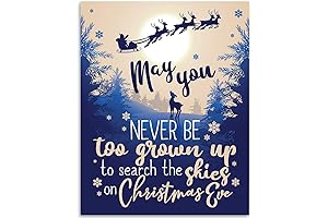 May You Never Be Too Grown Up To Search the Skies on Christmas Eve