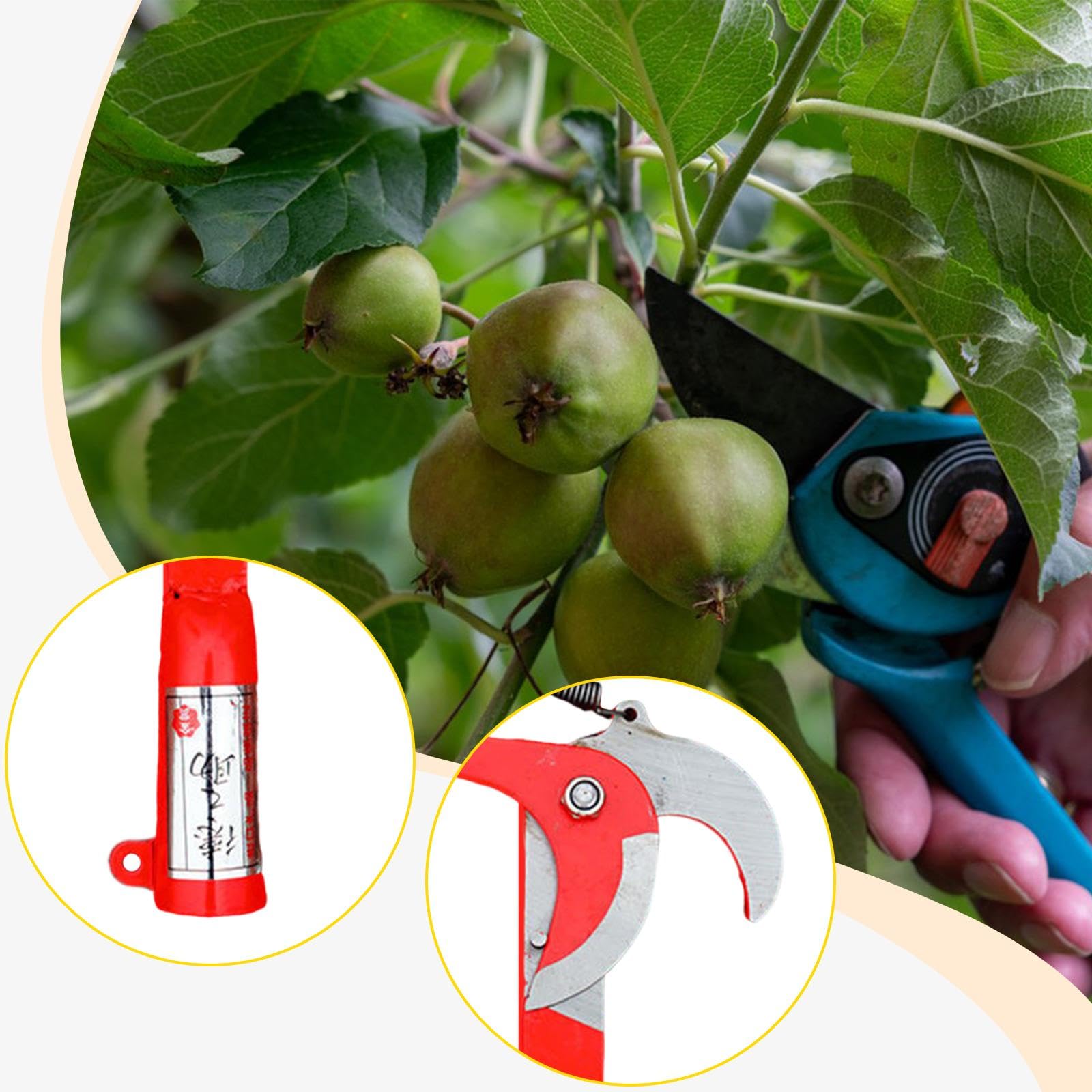 F Fityle Coupe-branches hautes sans accessoires de perche Économie d'énergie pour de branches hautes avec ressort en acier Corde de 1,5 m, Size S