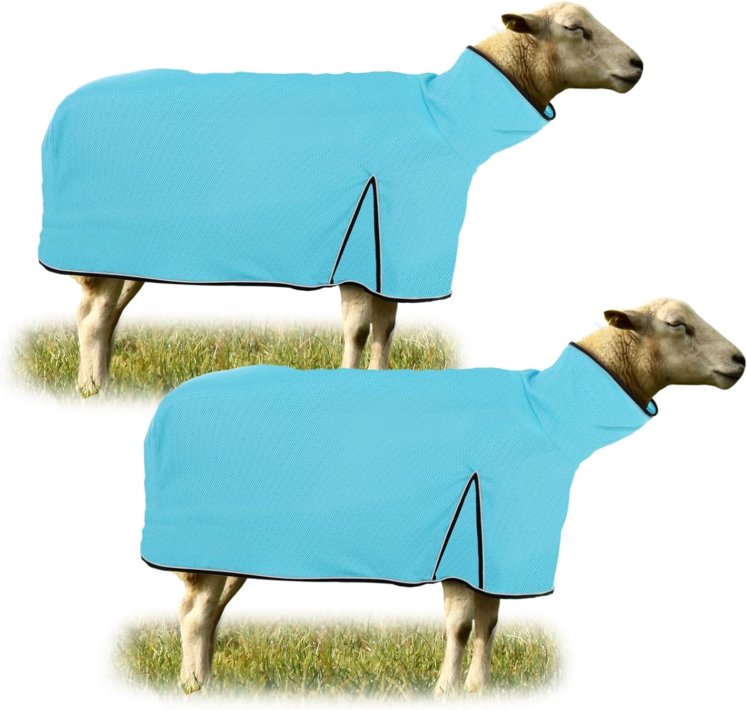 Silkfly 2 Pcs Sheep Blanket Mesh Medium Goat Blanket with Mesh Butt and Adjustable Belly Strap Fits Lambs 110-140 Lbs for Show Lambs, Offers Effective Protection from Fly Bites (Blue)