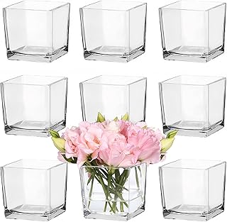 CONNOO 9 Pack Square Glass Vase 4