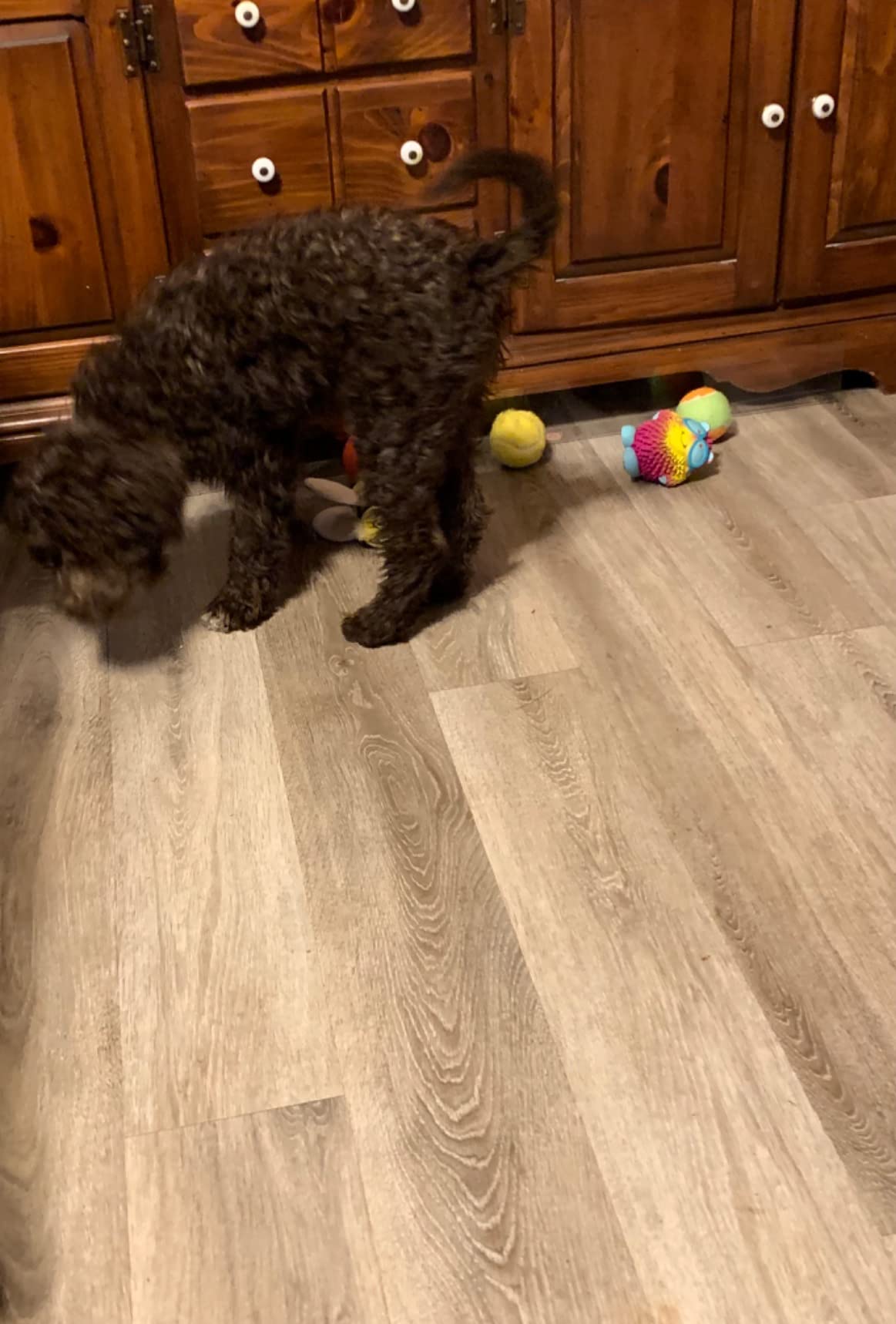 We Love Doodles Under Couch Blocker for Pets (5 Pack