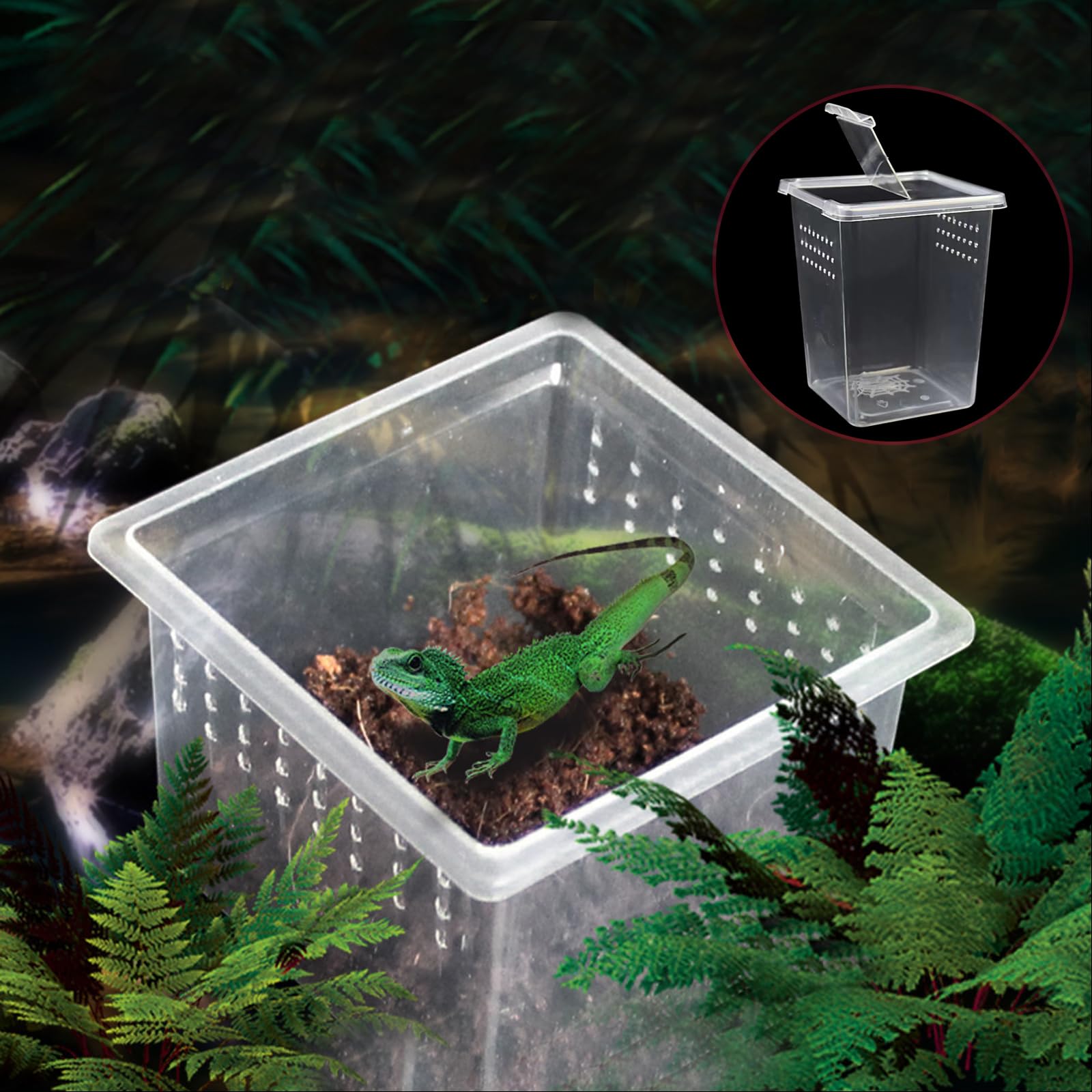 3 Pcs Insect Spider Terrariums Breeding Box, Small