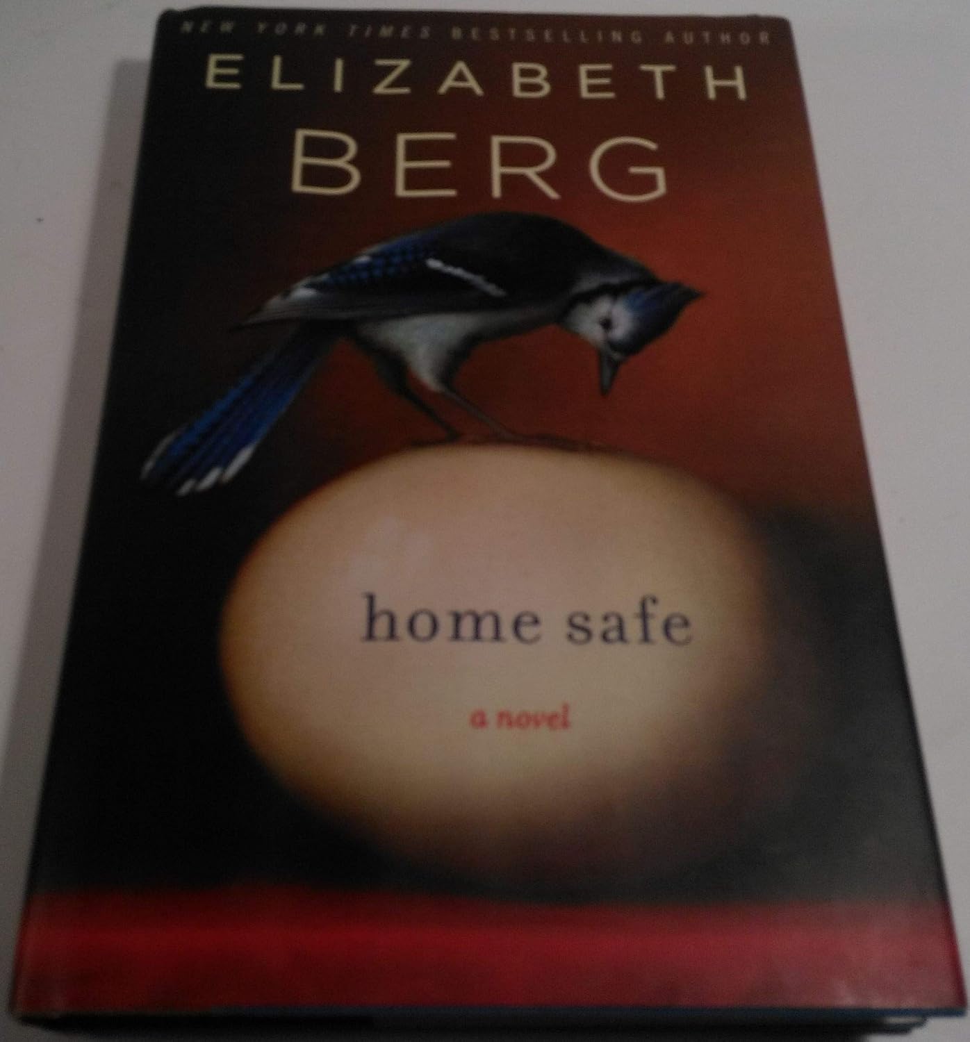 Home Safe A Novel Berg, Elizabeth 9781400065110 Books
