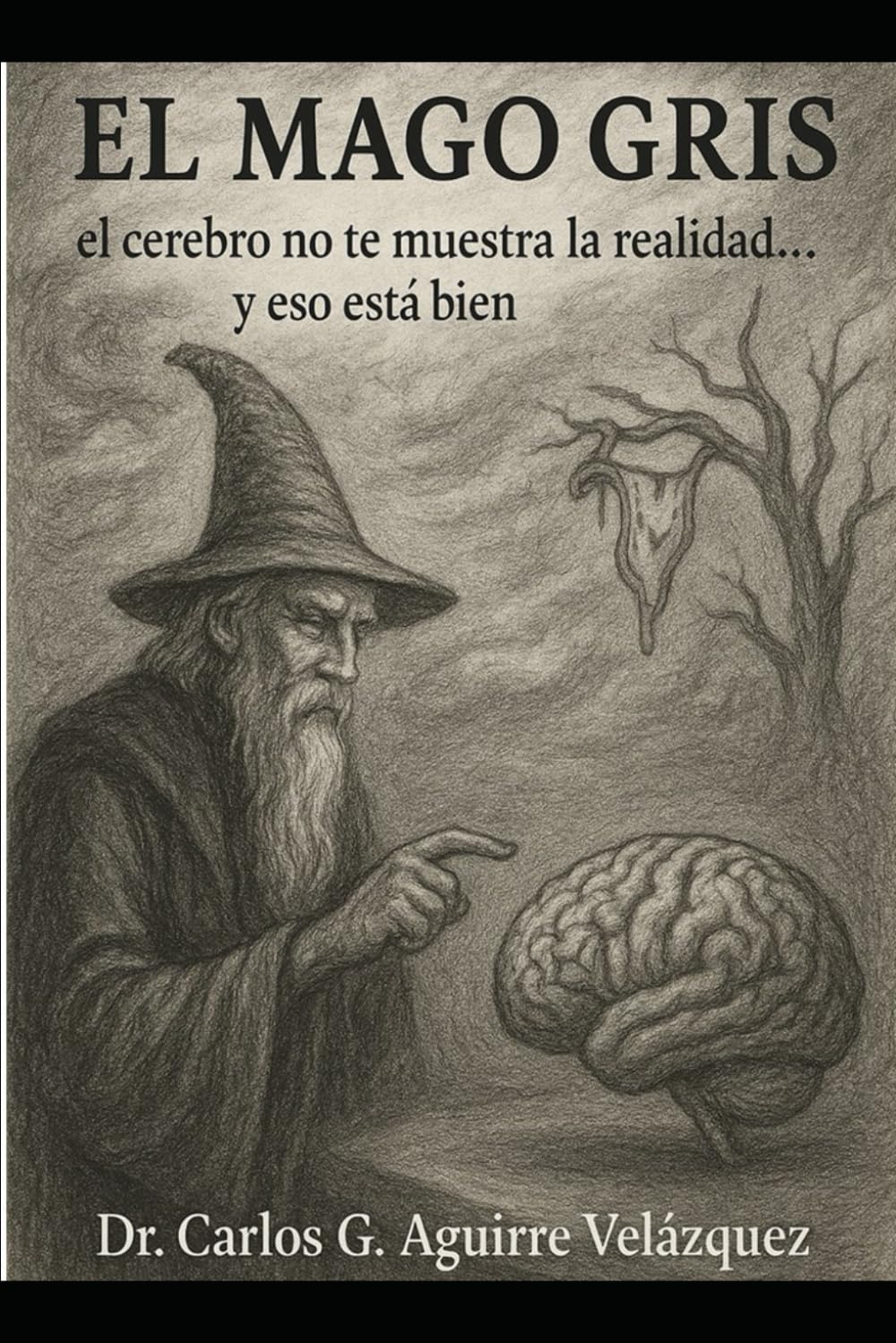 El Mago Gris: el cerebro no te muestra la realidad...y eso está bien.