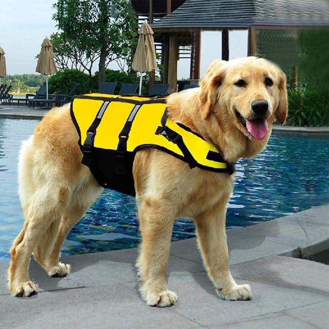 Foto 2 de 4 de Chaleco Salvavidas para Perros Abrigo de Seguridad para Nadar Chaleco Salvavidas Flotante Salvavidas con Asa…