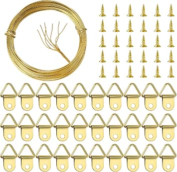 32.8 Feet/10m Picture Hanging Wire Kit, Stainless Steel Hanging Picture Hooks and Wire Set with 30 D Ring Hangers, 30 Screws for Photo Frames Mirror Wall Art