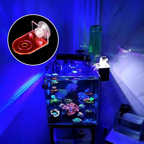 Miniatura 4 de 4 piezas de acrílico Coral Frag Rack, estante fragmento de coral fluorescente con potente ventosa soporte para fragmentos de coral, accesorios de