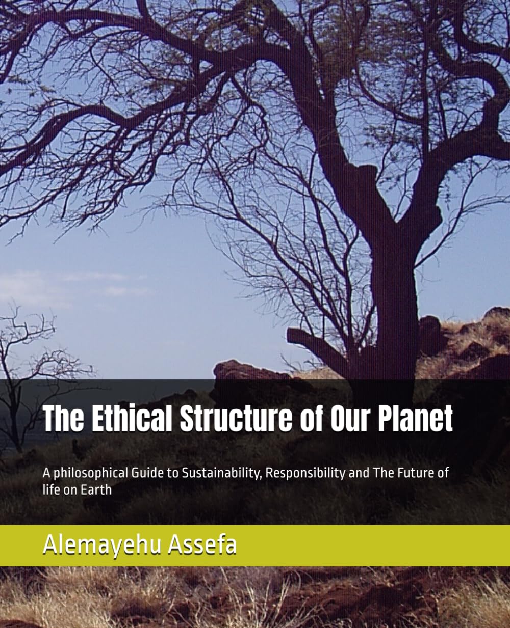 The Ethical Structure of Our Planet: A philosophical Guide to Sustainability, Responsibility and The Future of life on Earth
