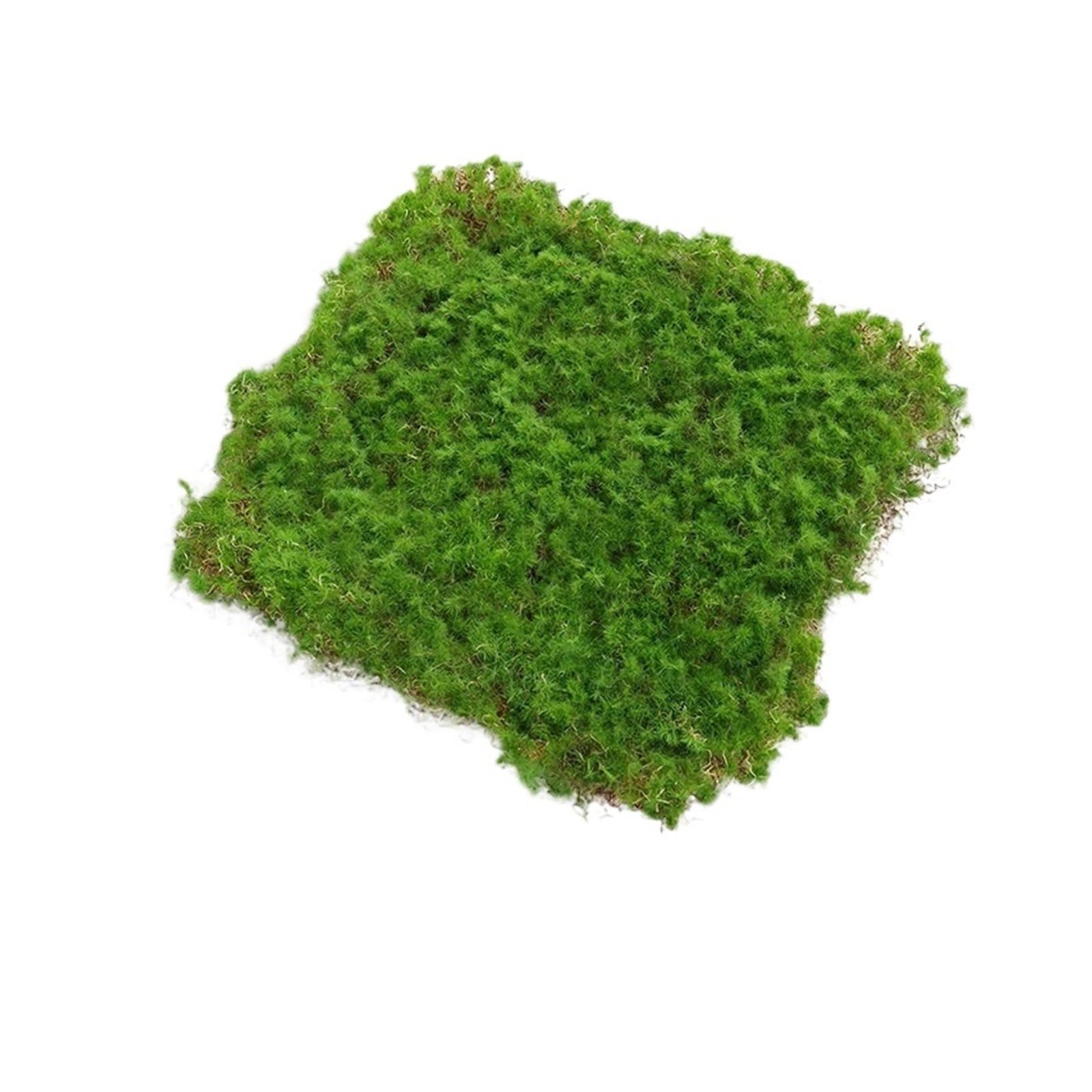 Césped artificial con musgo de 30x30 cm para decorar un jardín exterior natural