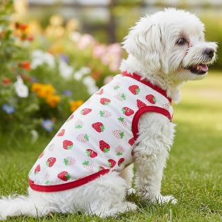 Cute Pet Vest Strawberry Pattern Shirt Sleeveless Summer Tee for Small Dogs Cats Soft Lightweight Puppy Outfit Wear(White,S)