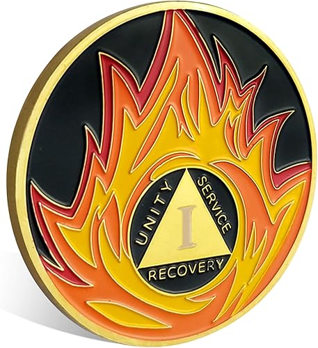 Miniatura 2 de Monedas AA y medallones de chips de sobriedad de llamas de 1 año, regalos de sobriedad para hombres y mujeres (año I)