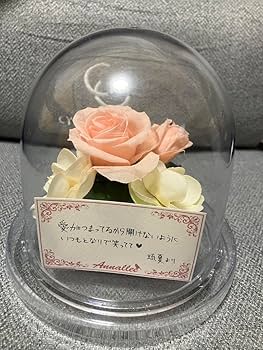 Amazon.co.jp: ときメモGS3 桜井琉夏 ホワイトデー プリザーブド