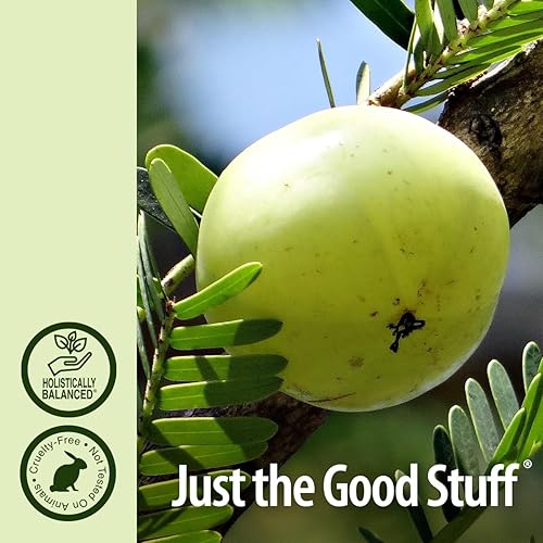 Miniatura 5 de Nature's Answer Vitamina líquida B-12 | Promueve la función nerviosa saludable y los niveles de energía | Con sabor natural y sin gluten, 2 onzas