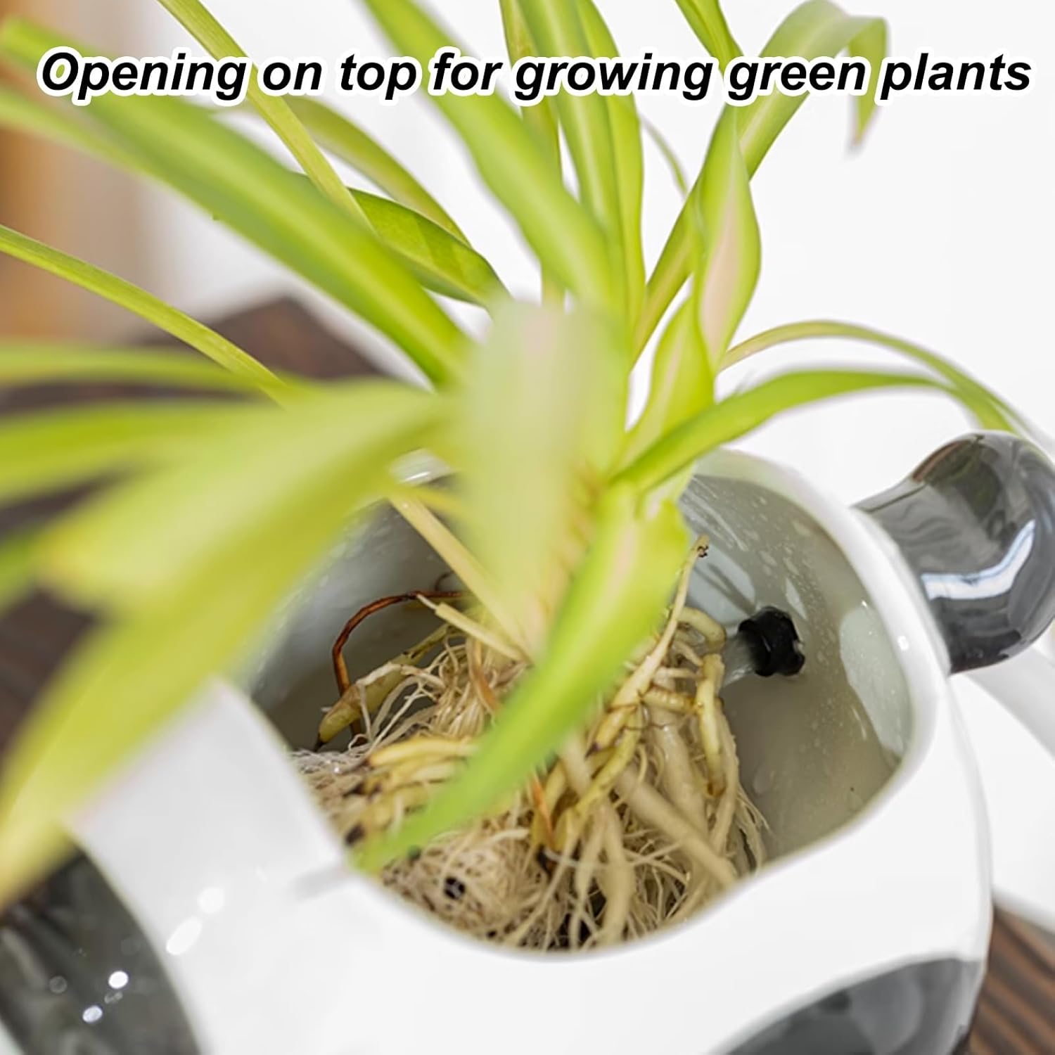 Pond Spitters for Small Ponds, Animal Pond Spitters, Animal Ponds Fountains, Garden Decor for Koi Pool, Fish Tank Automatic Circulation Water Landscaping Ornaments(11.6x6.1x5.3'')