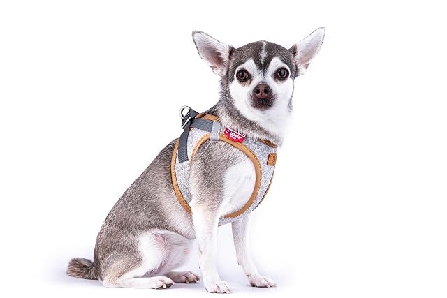 Foto 2 de 5 de Alpine curli Clasp Vest Harness Light Gray L