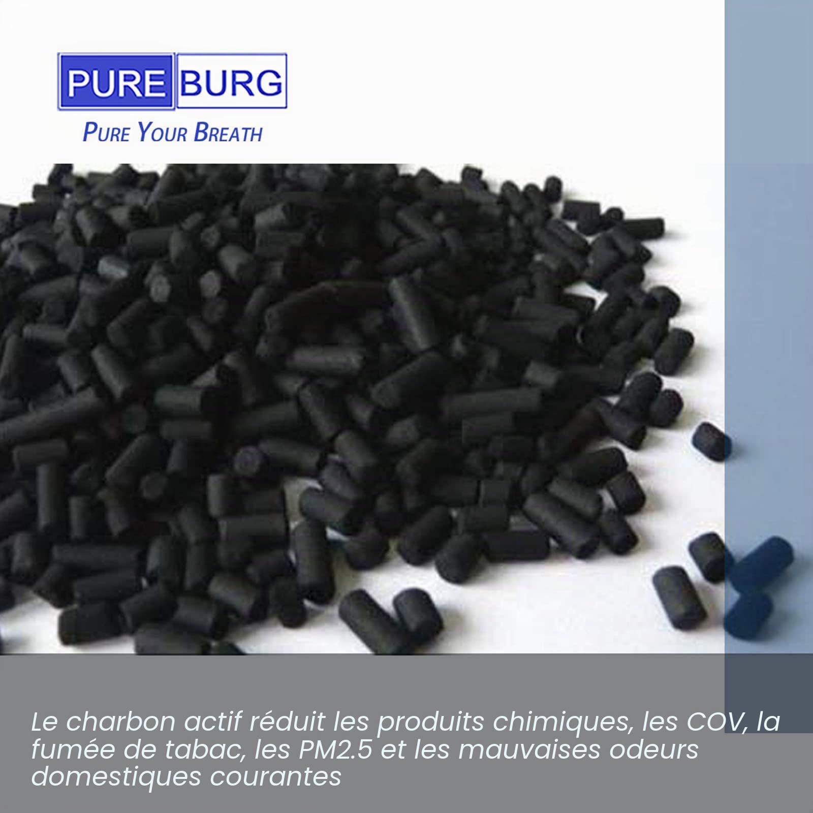 PUREBURG Lot de 2 filtres de rechange FY0293/30 compatibles avec purificateur d'air Philips série 800 AC0830/30, également compatible avec AC0830 AC0820 AC0819 FY0194