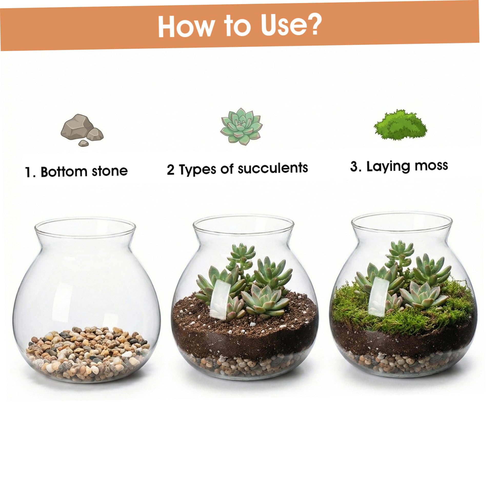 Recipientes de Vidrio para terrarios. Tarro de terrario Cerrado de 1800 ml con Tapa de Corcho para suculentas Plantas aéreas y Musgo. Maceta hidropónica de Vidrio de borosilicato