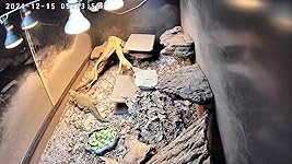 Review Image by Jeffery M. Steelmon Jeffery M. Steelmon