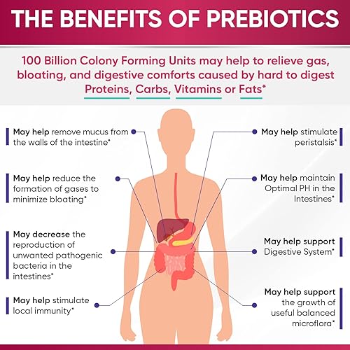 Miniatura 4 de Cápsulas de probióticos crudos formulados por médicos, para mujeres, 100 mil millones de UFC con prebióticos, enzimas digestivas y apoyo para el