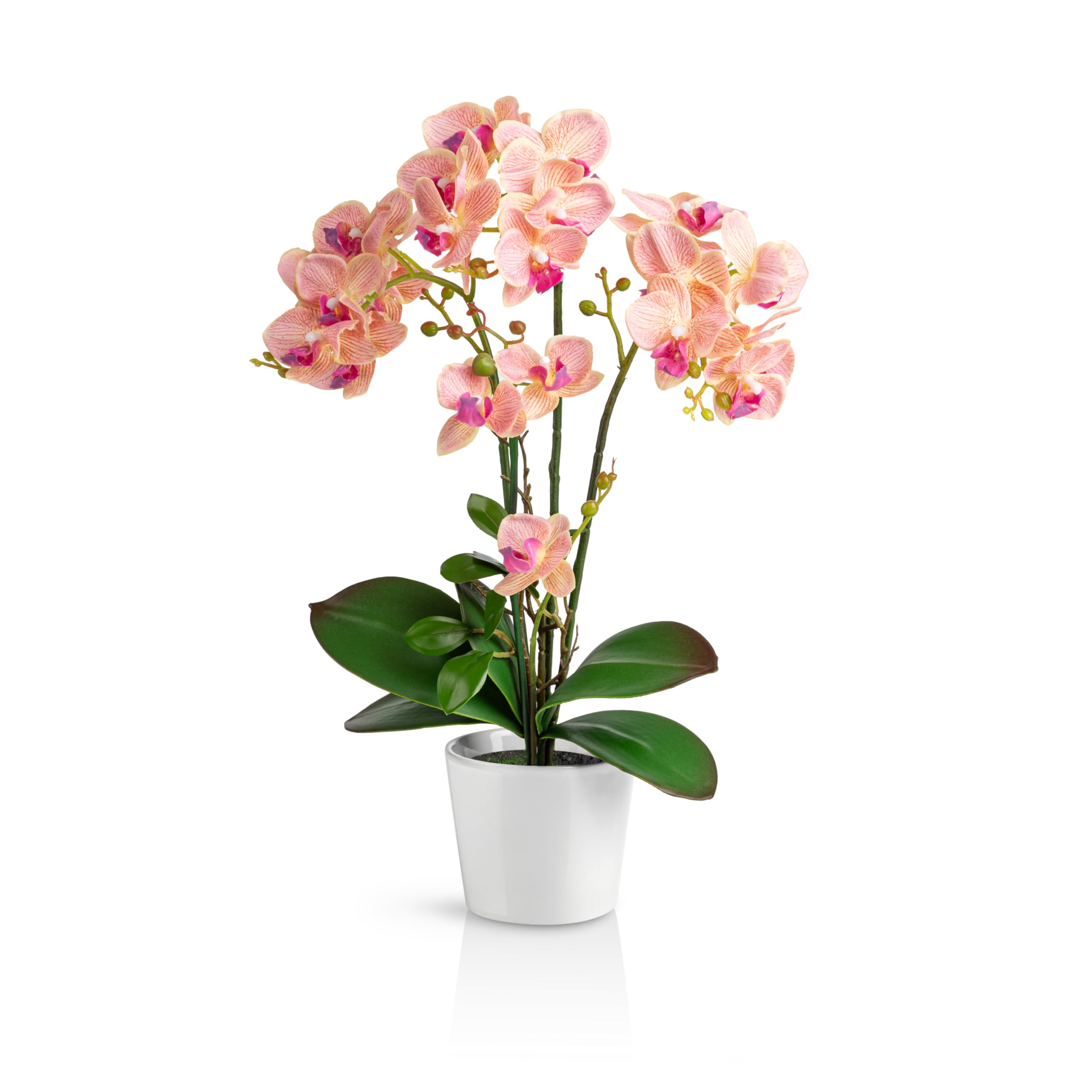 PASCH Orquídea Artificial en Jarrón de Cerámica Brillante (46 cm) - Flores Como Reales (Rosa Claro)