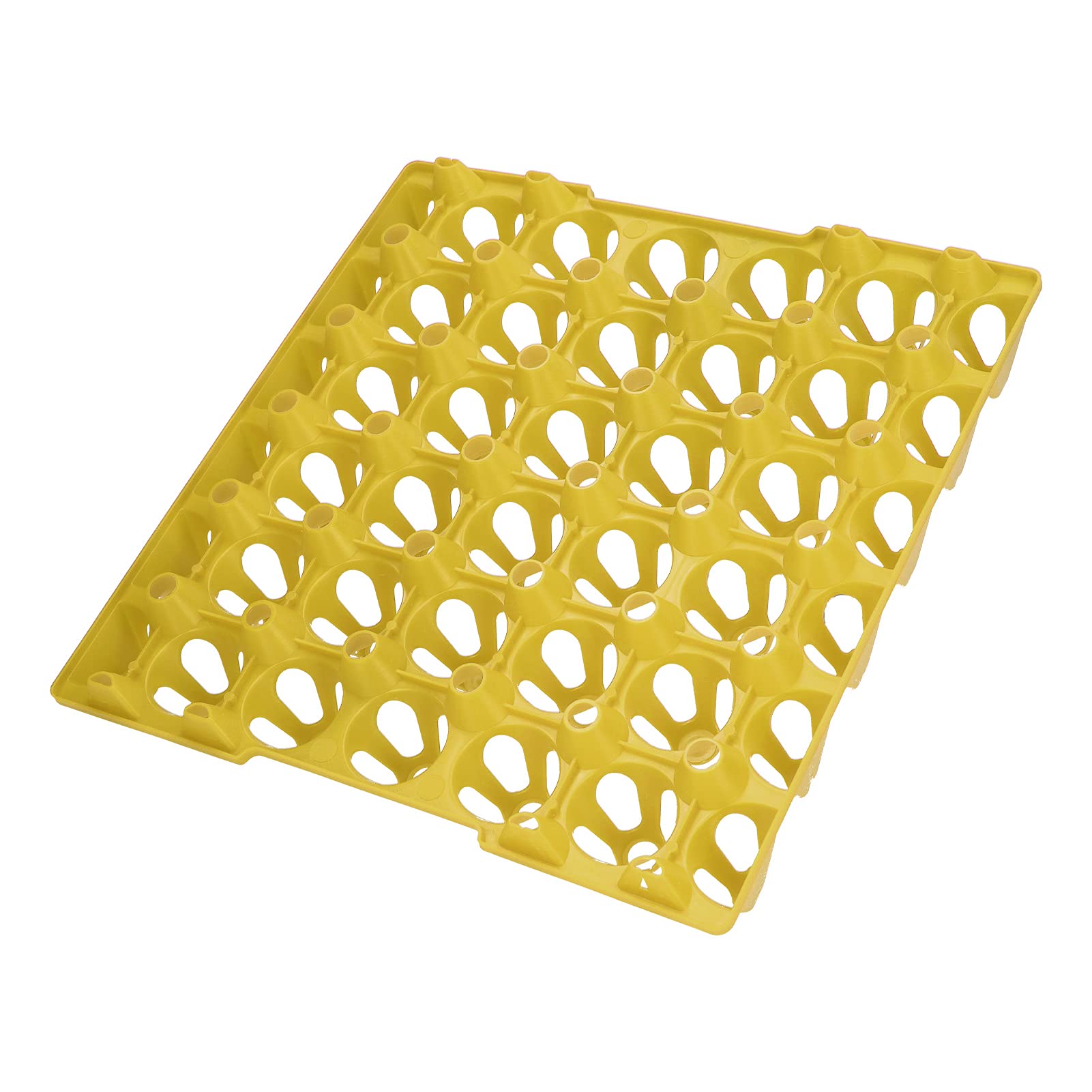 Bewinner Lot de 5 Plateaux à œufs en Plastique à 30 Cellules pour le Stockage et le Transport, Support à œufs Empilable et Réutilisable pour de Poule, Récipient à Extra Large pour Fournitures de